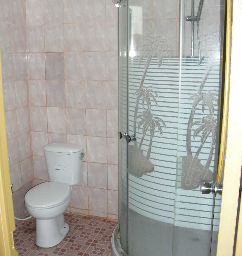 Kamar mandi dengan toilet keramik dan bilik pancuran dengan pola pohon kelapa